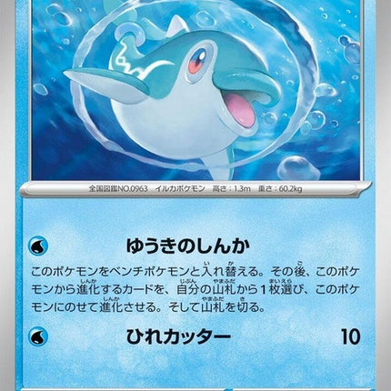 29-finizen