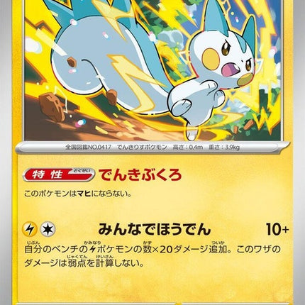 29-pachirisu