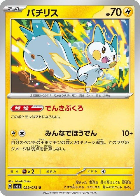 29-pachirisu