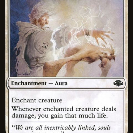 29-spiritlink