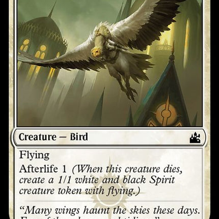 29-syndicatemessenger