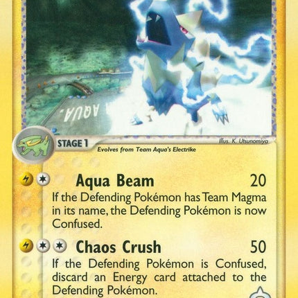 29-teamaquasmanectric