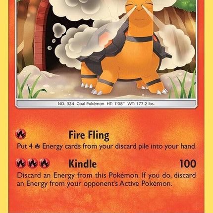 29-torkoal