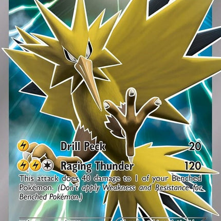29-zapdos