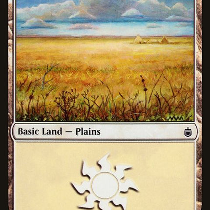 290-plains