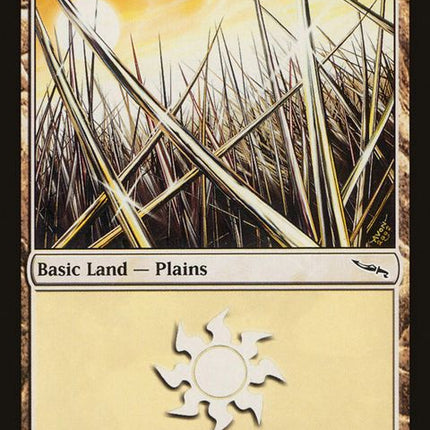 290-plains