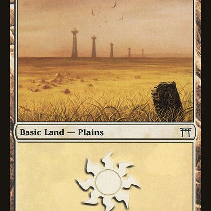 290-plains