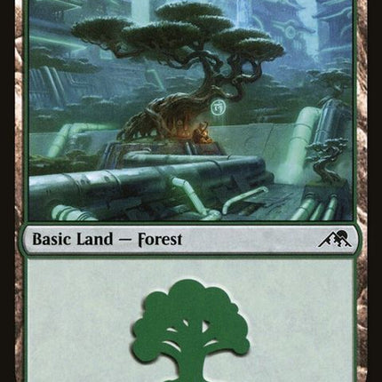 292-forest