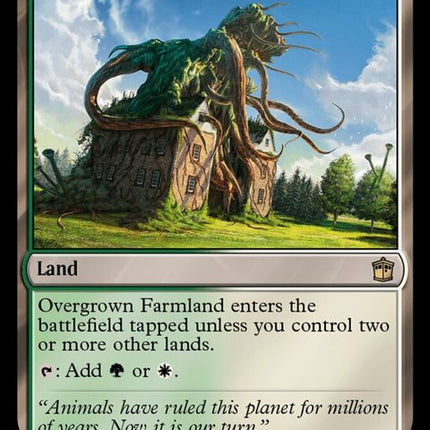 292-overgrownfarmland