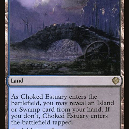 293-chokedestuary