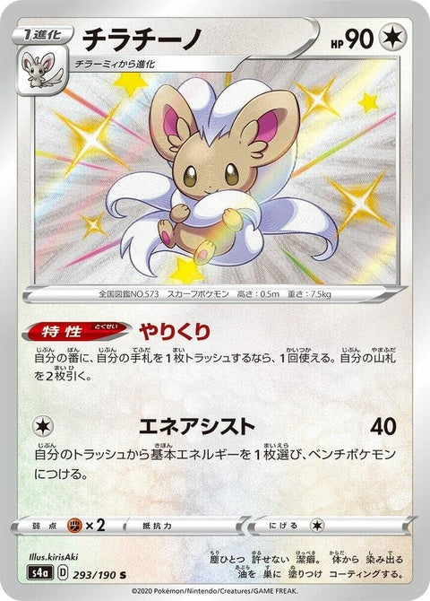 293-cinccino
