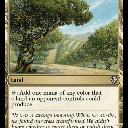 293-exoticorchard