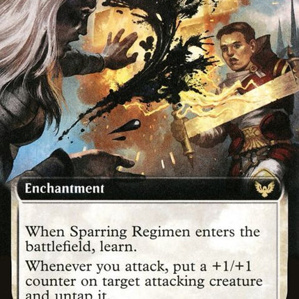 293-sparringregimen