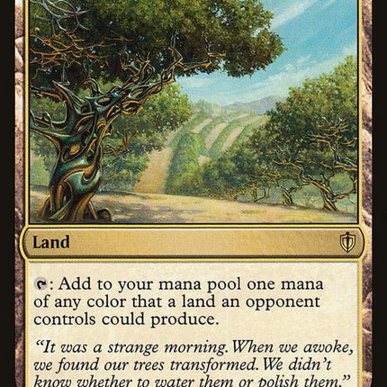 295-exoticorchard