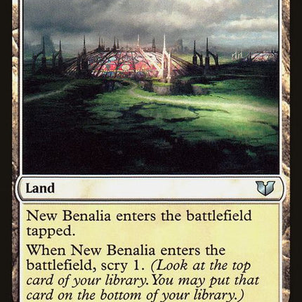 295-newbenalia