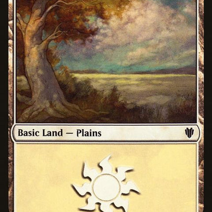 295-plains