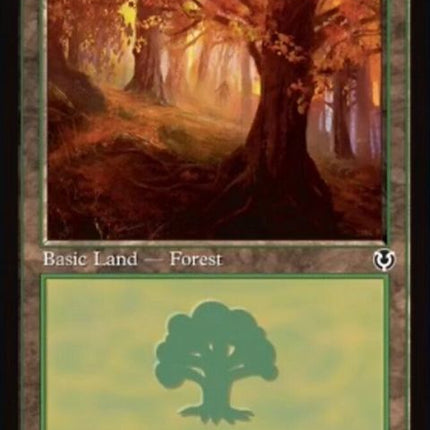 296-forest