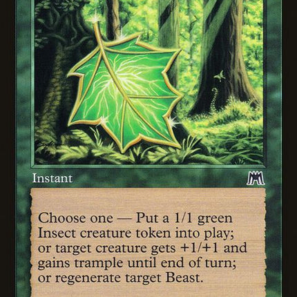 296-vitalitycharm