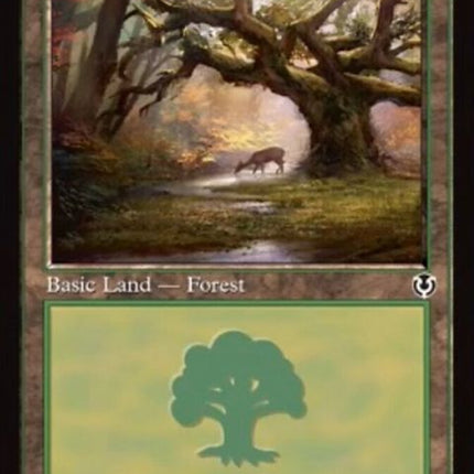 297-forest
