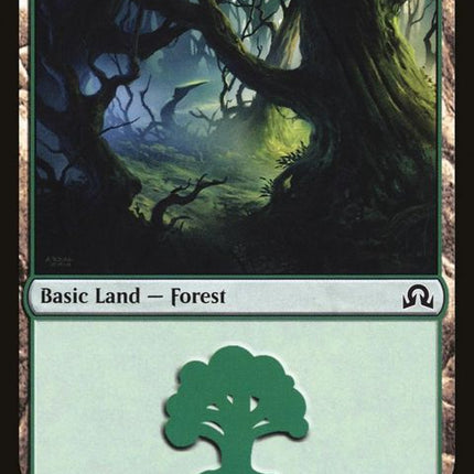 297-forest