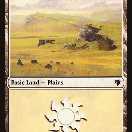 297-plains