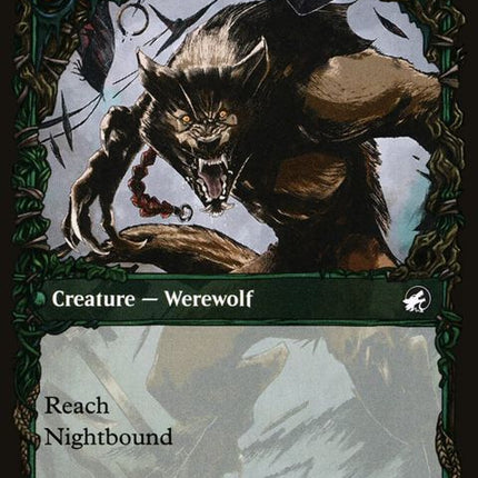 298-birdadmirerwingshredder