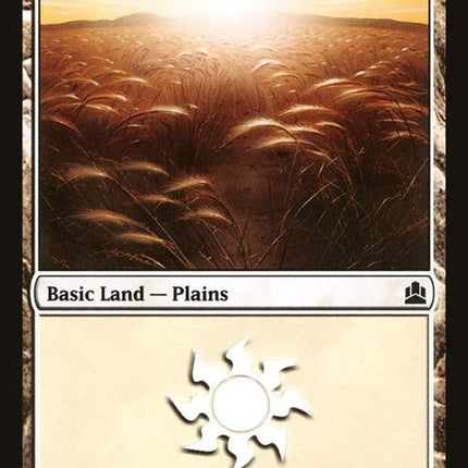 299-plains