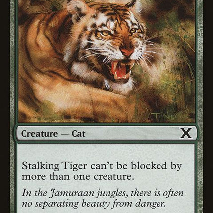 299-stalkingtiger