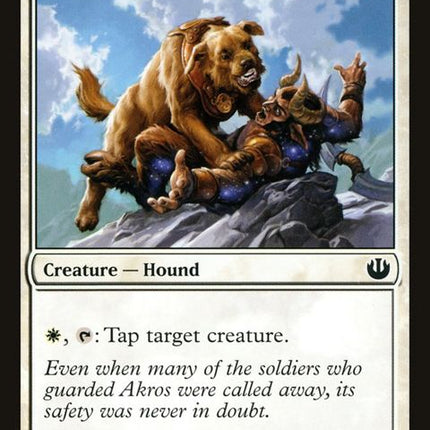 3-akroanmastiff