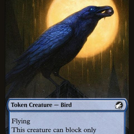 3-bird