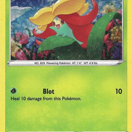 3-gossifleur