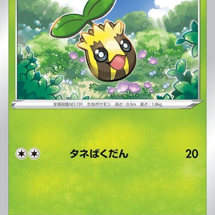 3-sunkern