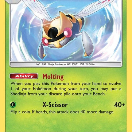 30-ninjask