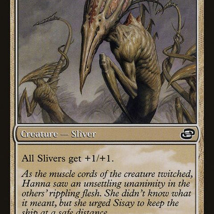 30-sinewsliver