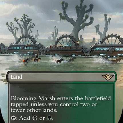 300-bloomingmarsh