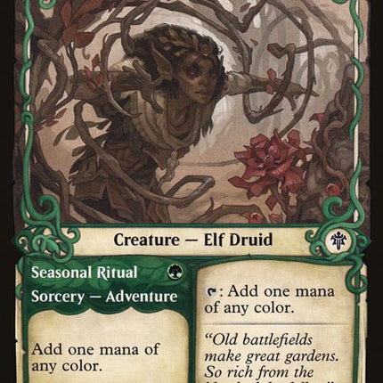 300-rosethornacolyteseasonalritual-a