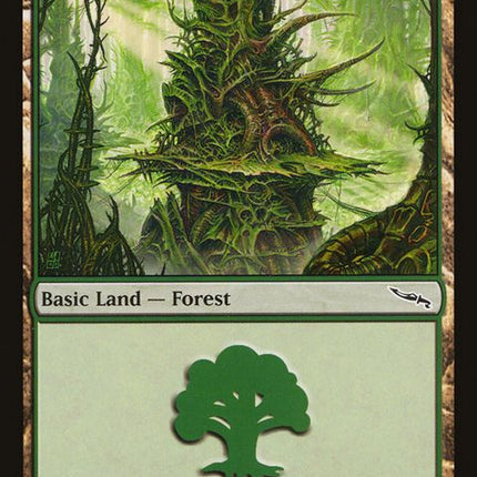 303-forest