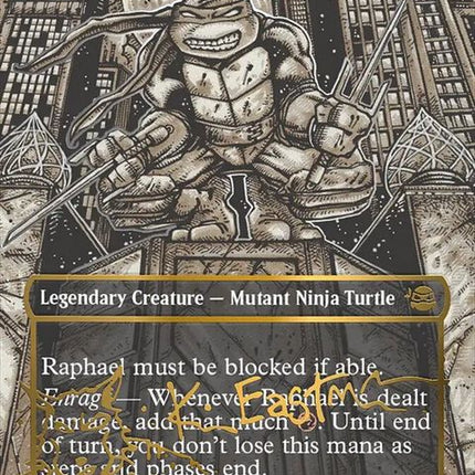 303-raphaelninjadestroyer