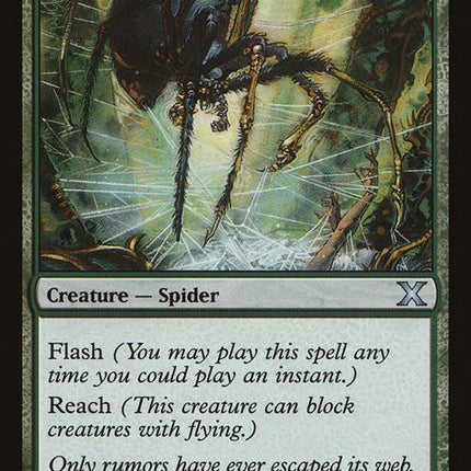 303-tanglespider