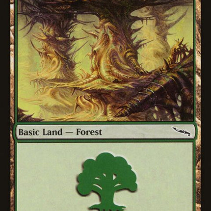 304-forest