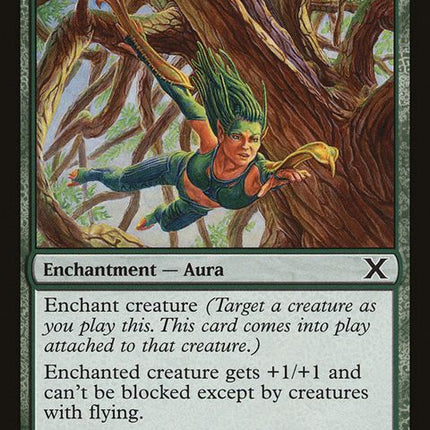 304-treetopbracers