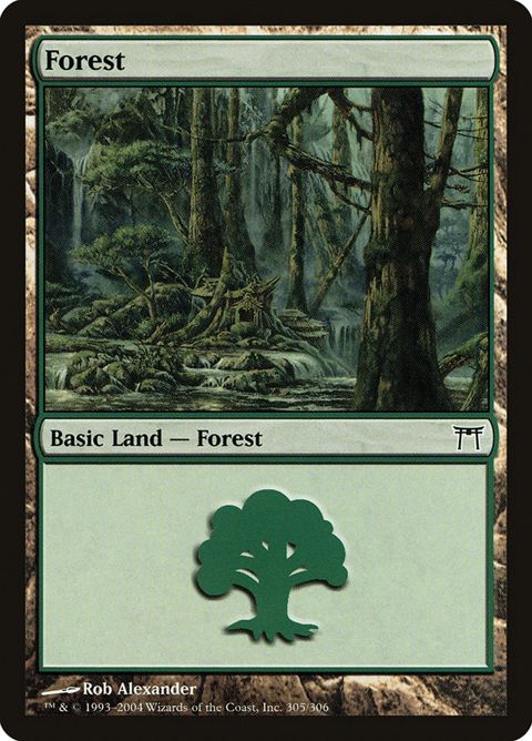 305-forest