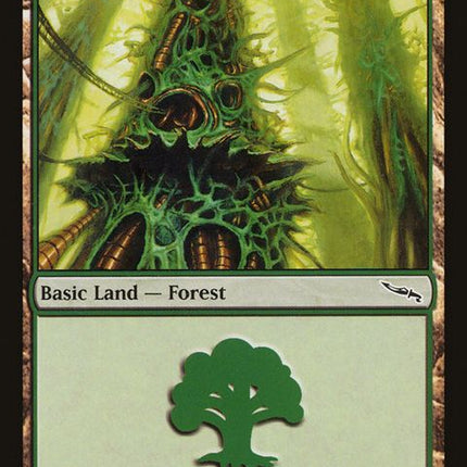 305-forest