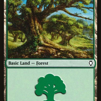306-forest