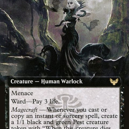 306-sedgemoorwitch