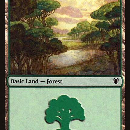 307-forest
