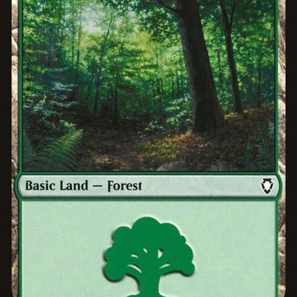 307-forest
