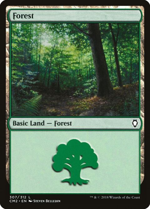 307-forest