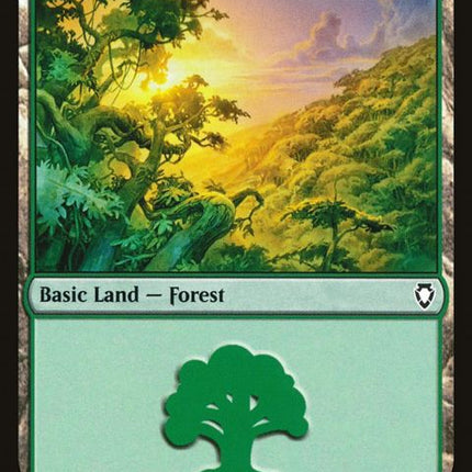 308-forest
