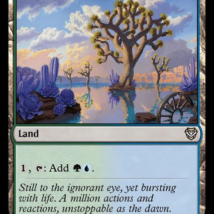 308-overflowingbasin